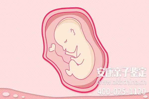 中山怀孕期间做亲子鉴定吗,怀孕如何做亲子鉴定吗 